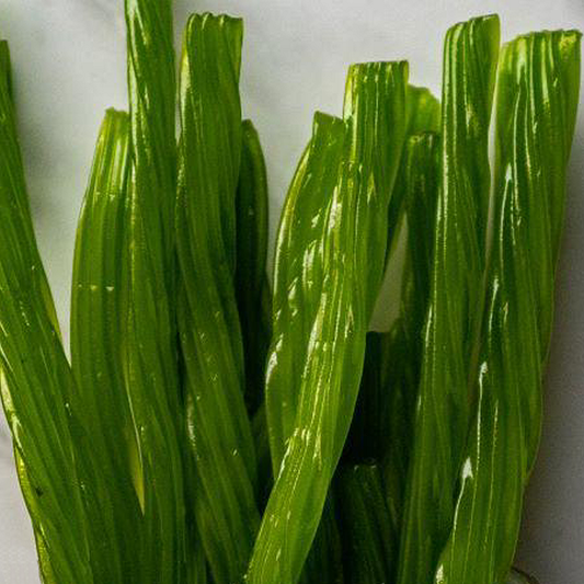 Green Apple Twists 8oz, CASE OF 12