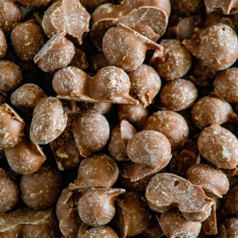 Chocolate Covered Peanuts 4oz, Case of 12