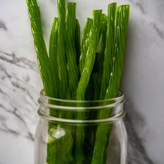 Green Apple Licorice Twists - 1lb - Mountain Man Nut & Fruit Co